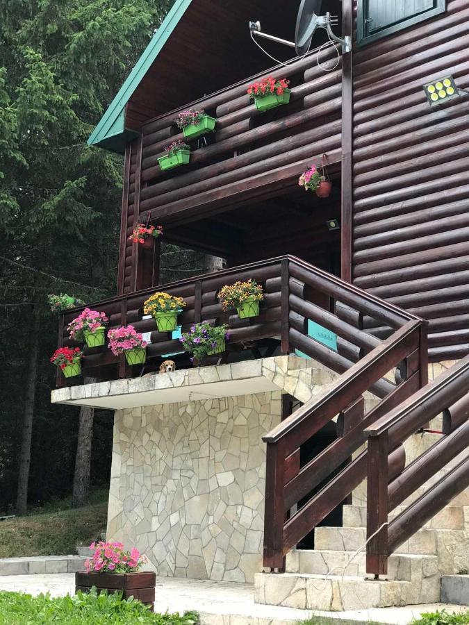 Willa Tanjuska Žabljak Zewnętrze zdjęcie